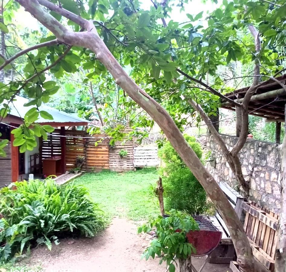 Ella Foret Accommodation Dış mekan fotoğraf