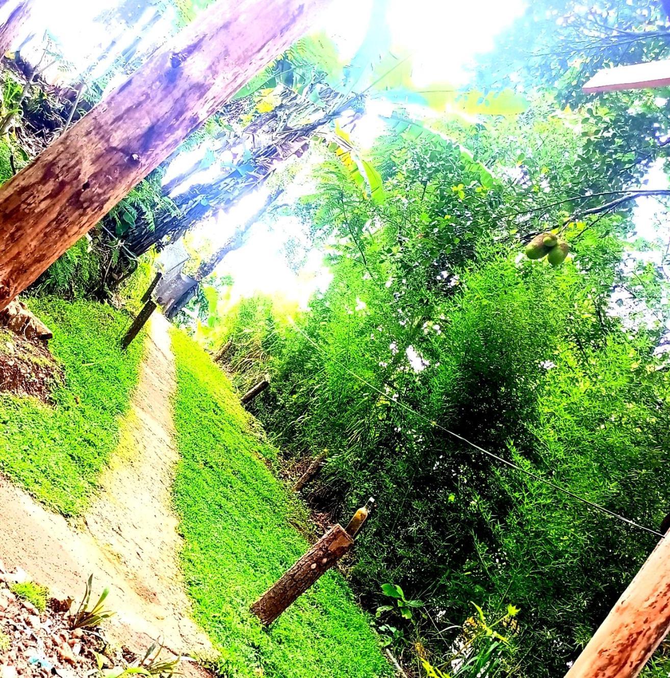 Ella Foret Accommodation Dış mekan fotoğraf